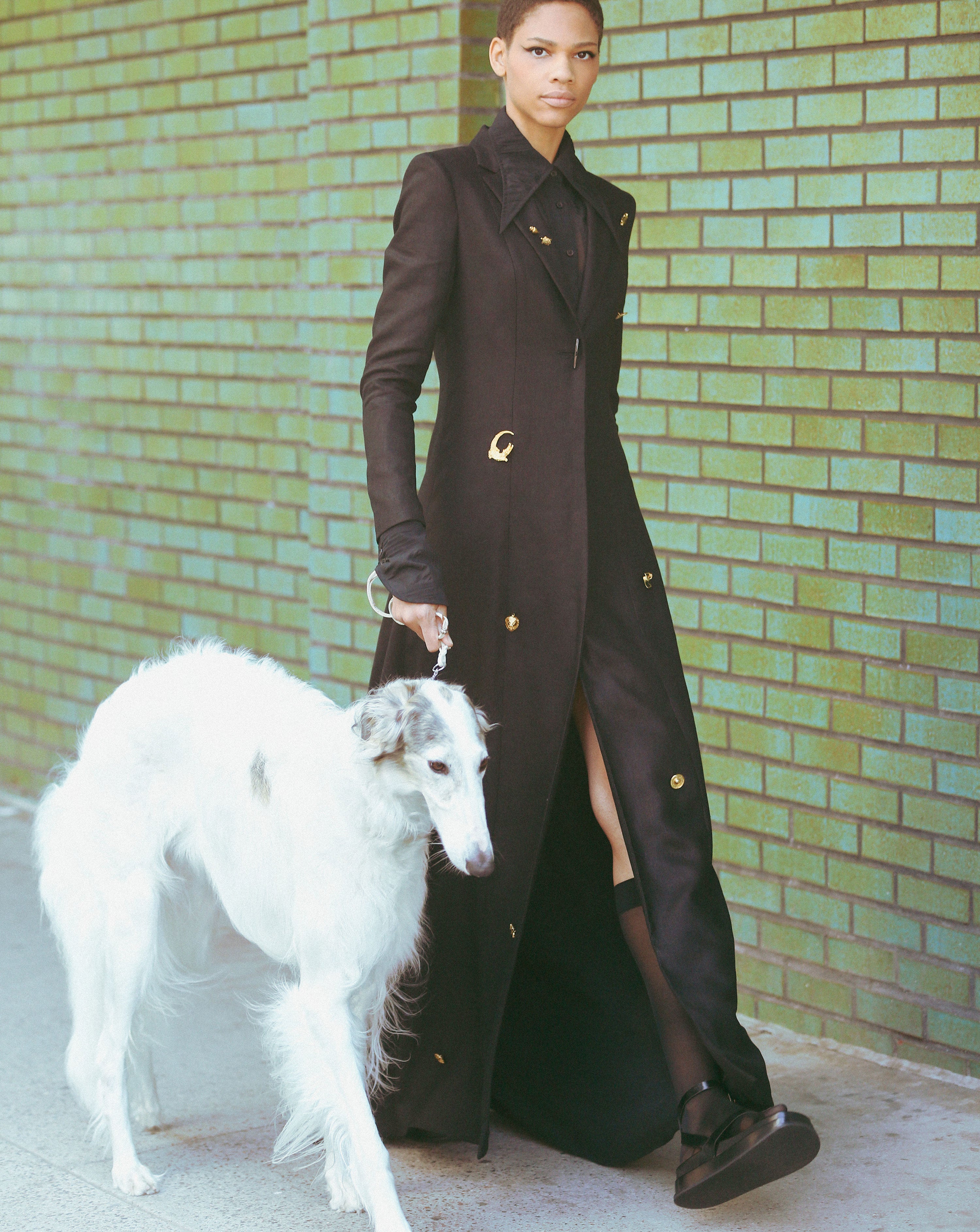 Woman in a long dark blazer coat dress with gold brooches and pins walking with a white borzoi dog against a brick wall.