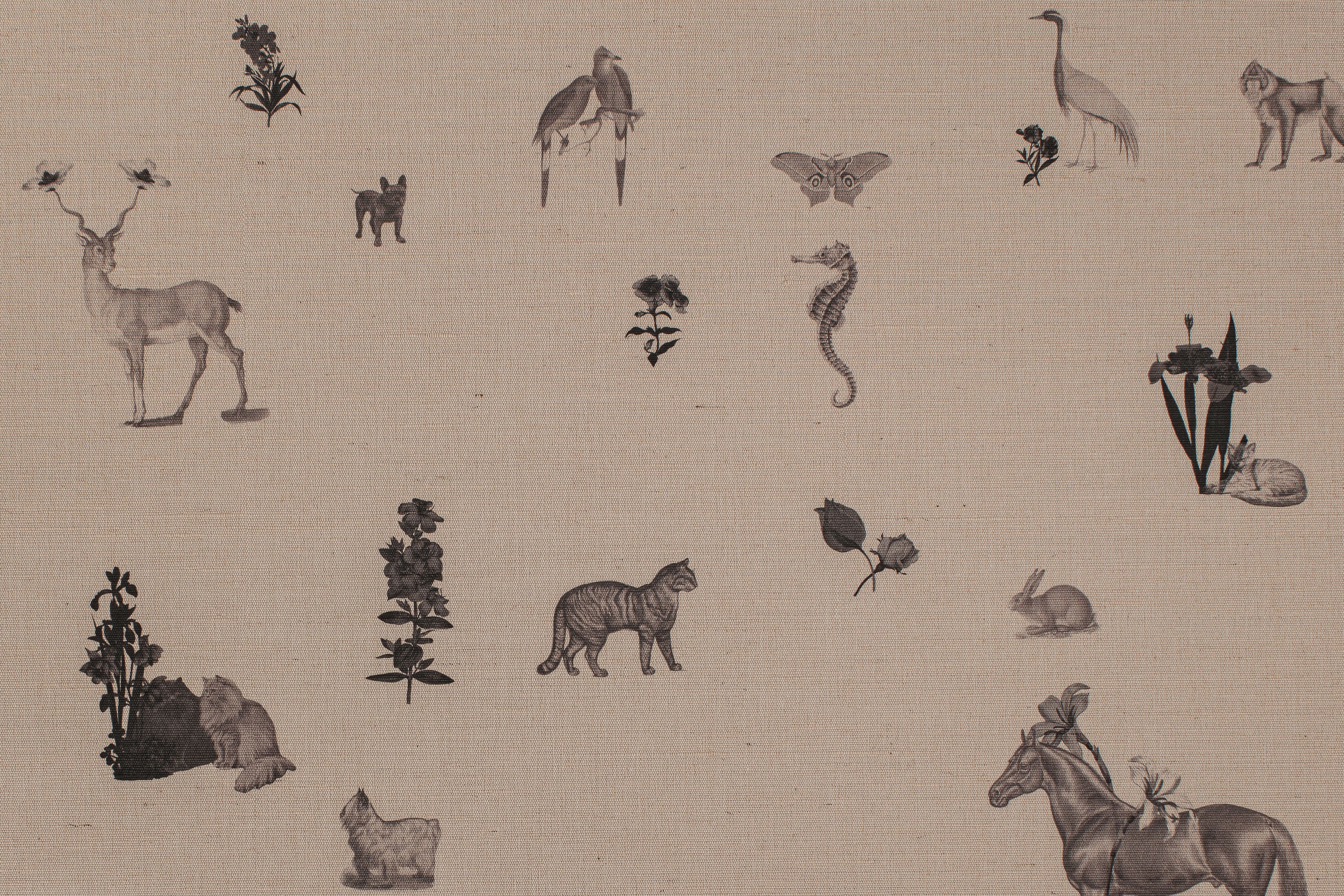 Pattern of small illustrations of animals and plants on a beige background