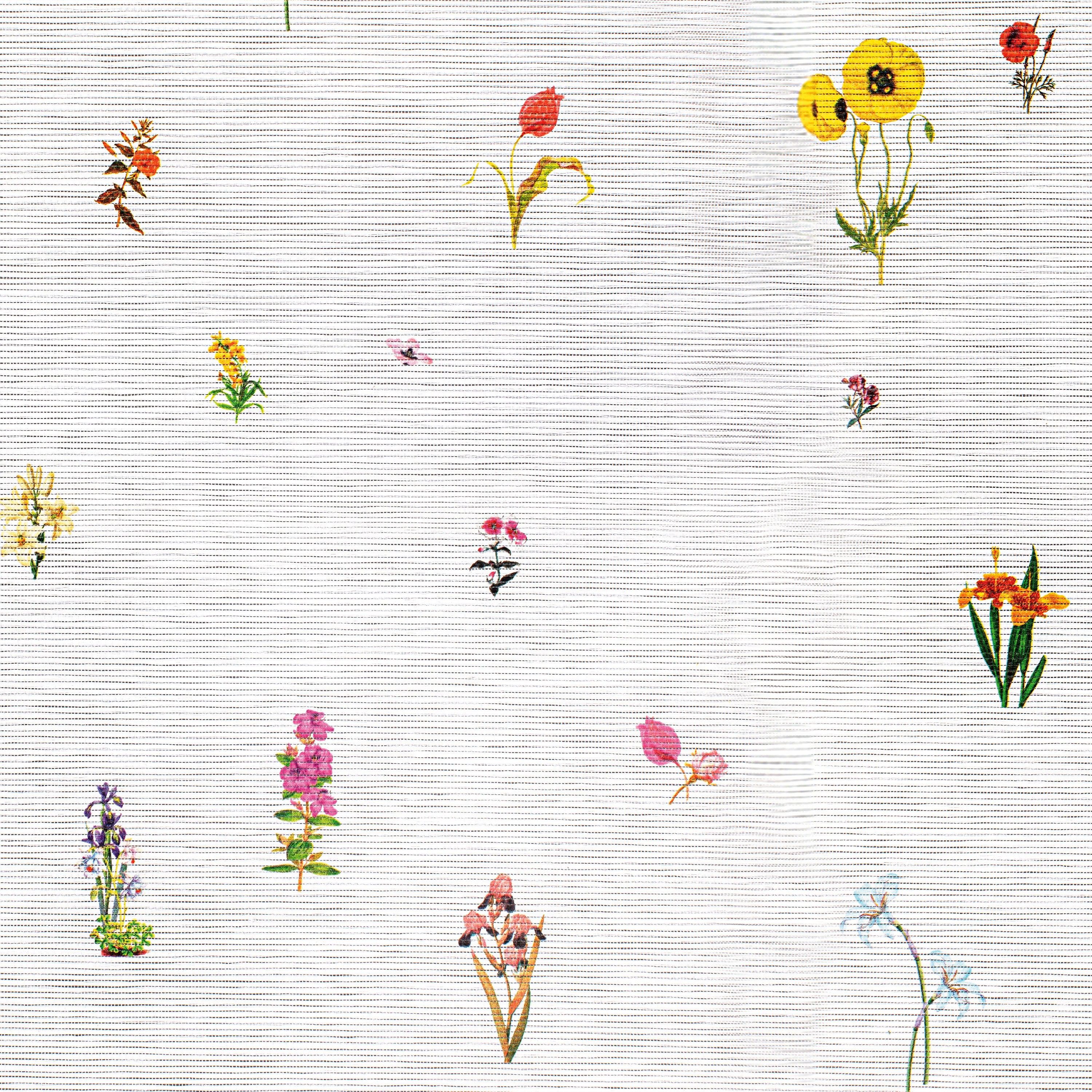 lowTHE-SHADE-STORE_MIMI_PLANGE_BotanicalGrassweave_Cloud.jpg__PID:764857e8-a818-450a-b9d2-c2df3fcaf6dd