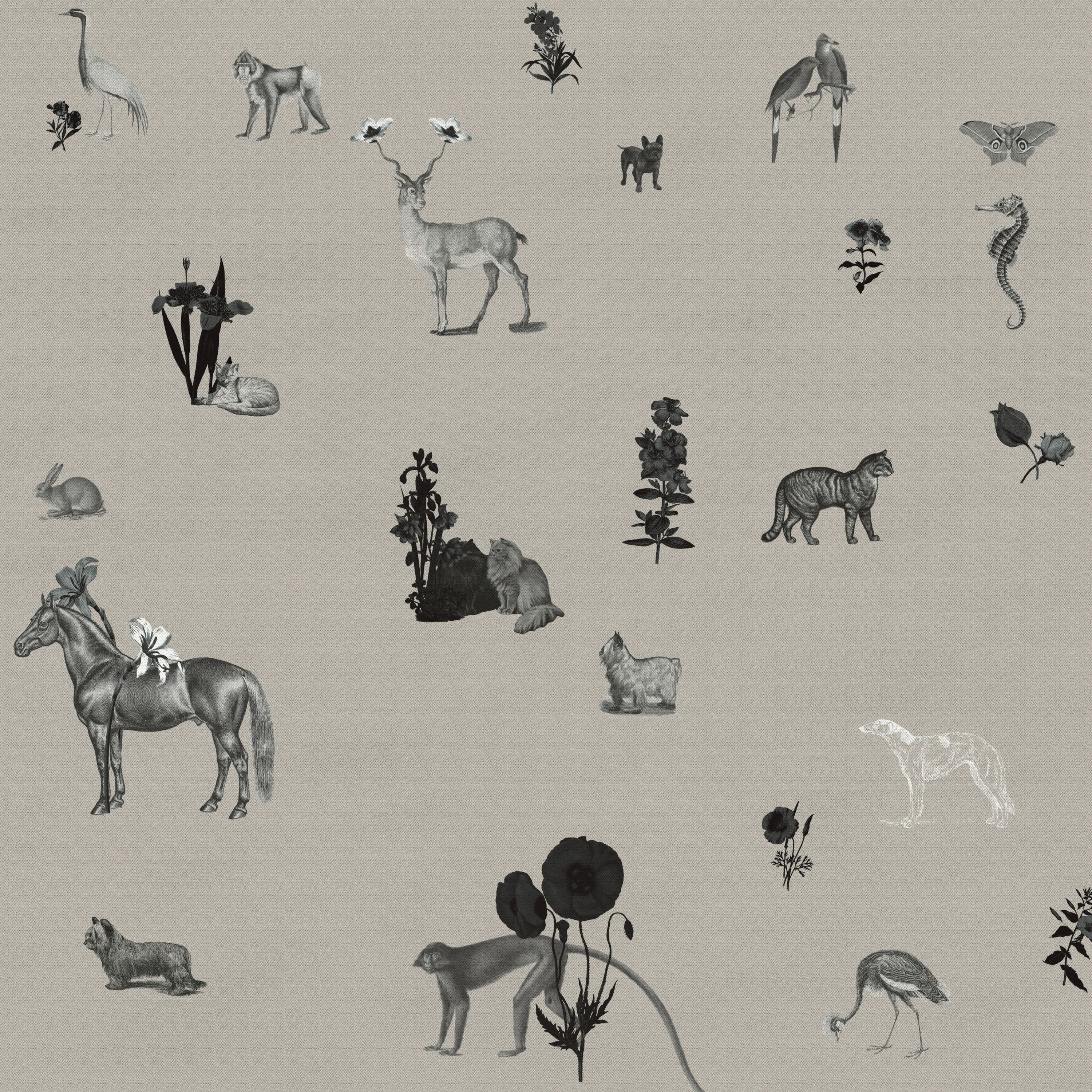 lowTHE-SHADE-STORE_MIMI_PLANGE_Victoria-Blackout-Fawn.jpg__PID:2f6b8a49-24ba-4b59-9936-67a9440eb616