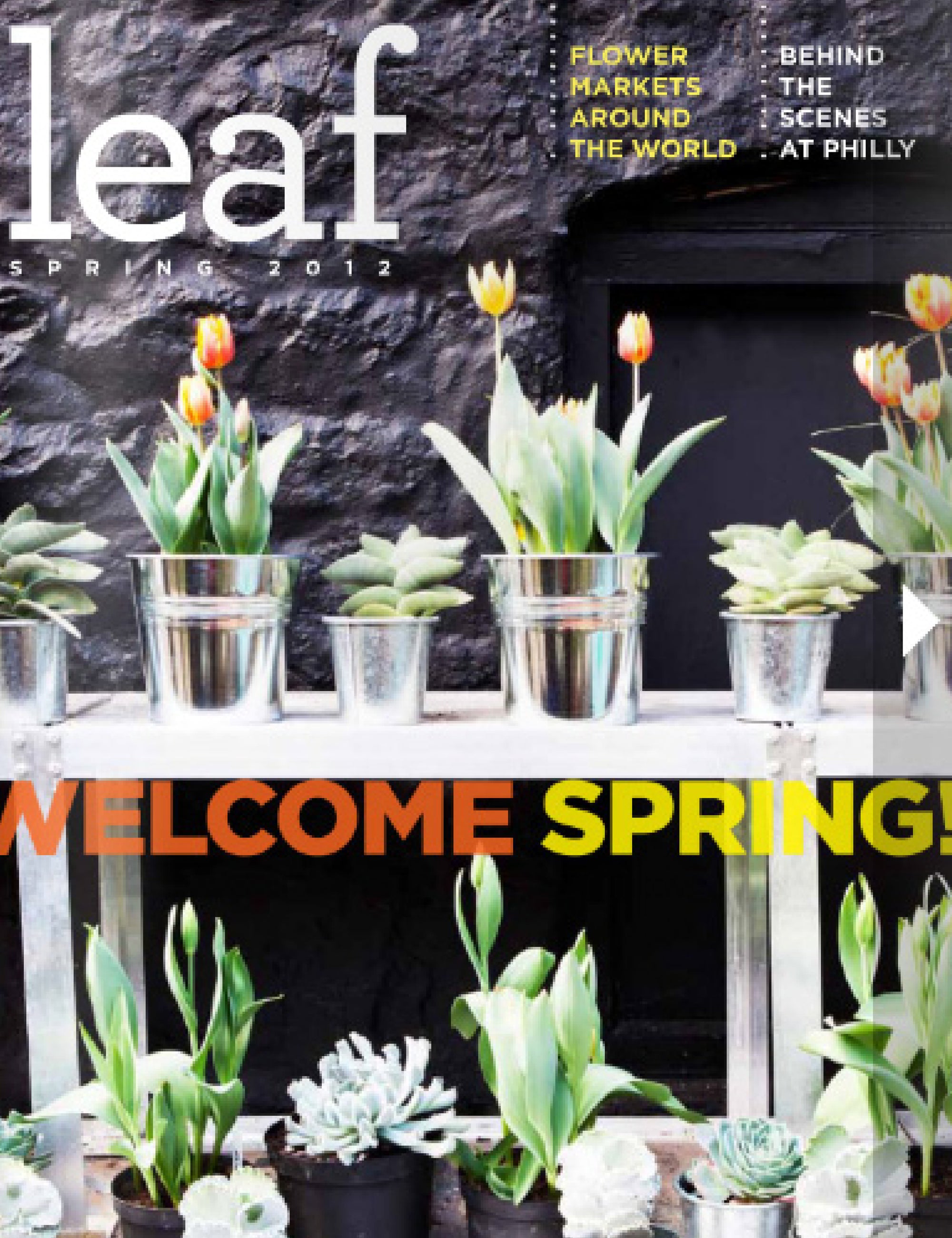 Leaf Magazine features Mimi Plange!