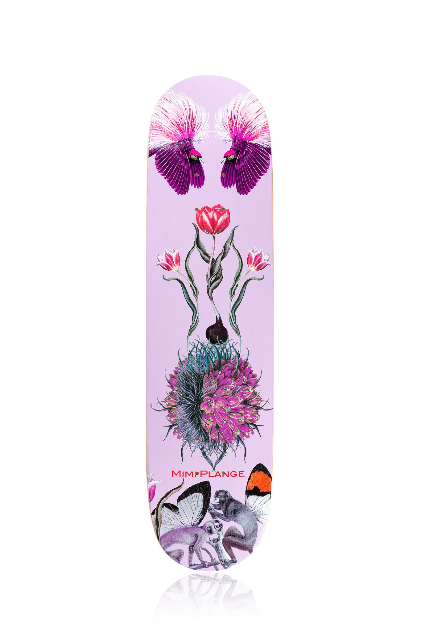 'Birds of Paradise' Art Skate Deck - Mimi Plange